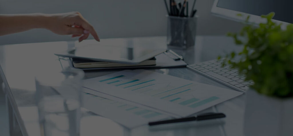 Alte Servicii - Global Fin Balance