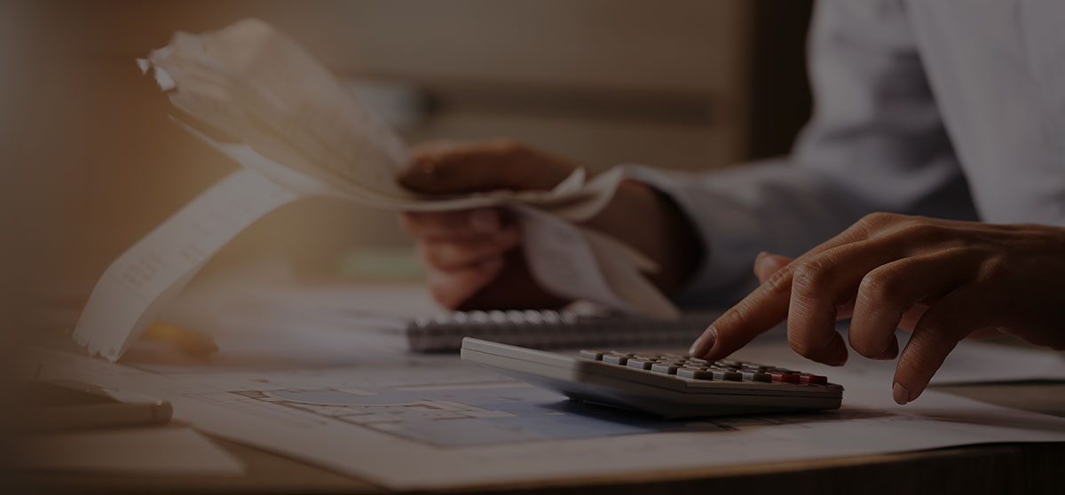 Contabilitate PFA Global Fin Balance